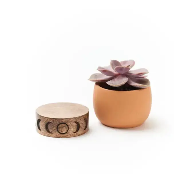 CLEARANCE Indukala Moon Phase Terracotta Plant Pot w/ Wood Stand