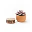 CLEARANCE Indukala Moon Phase Terracotta Plant Pot w/ Wood Stand