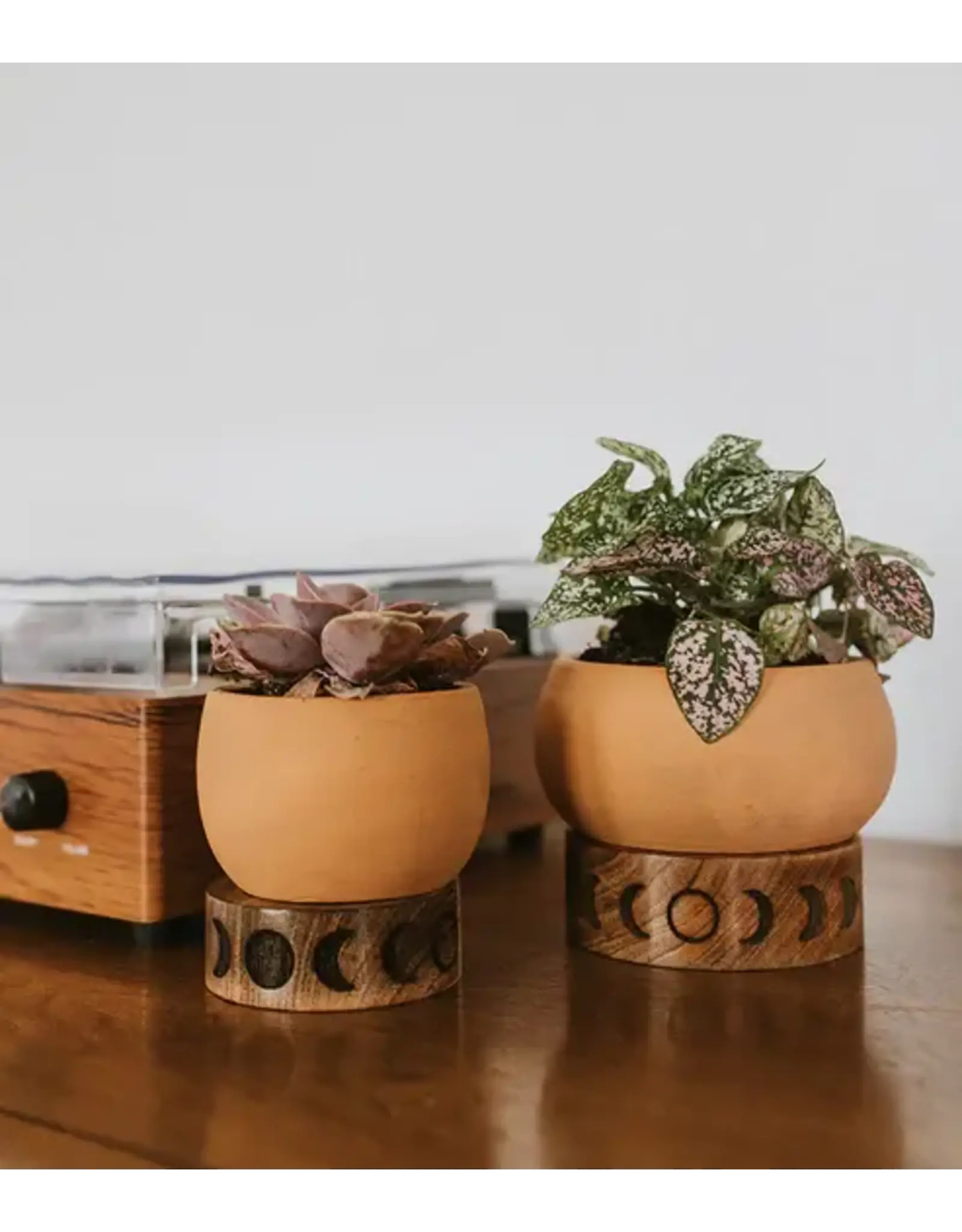 India Indukala Moon Phase Terracotta Plant Pot w/ Wood Stand
