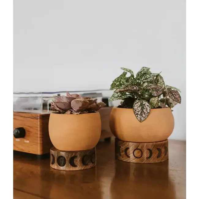 CLEARANCE Indukala Moon Phase Terracotta Plant Pot w/ Wood Stand