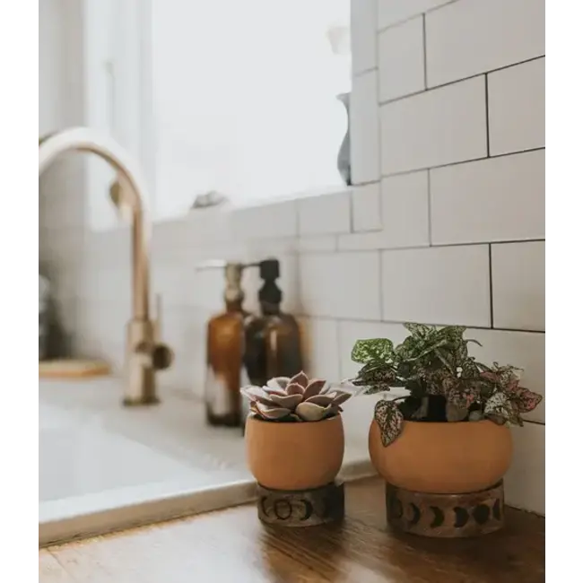 Indukala Moon Phase Terracotta Plant Pot w/ Wood Stand