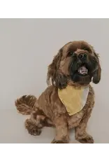 India Ishivatva Upcycled Sari Dog Bandana