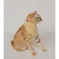 CLEARANCE Ishivatva Upcycled Sari Pet Bandana