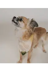 India Ishivatva Upcycled Sari Dog Bandana