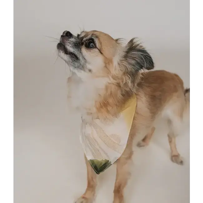 Ishivatva Upcycled Sari Pet Bandana