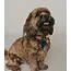 CLEARANCE Ishivatva Upcycled Sari Pet Collar Bow Tie