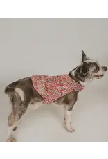 India Ishivatva Upcycled Sari Dog Sweater