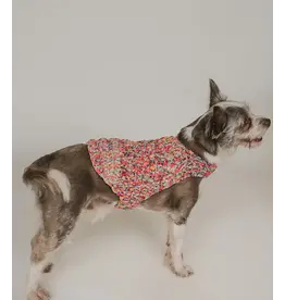 India Ishivatva Upcycled Sari Dog Sweater