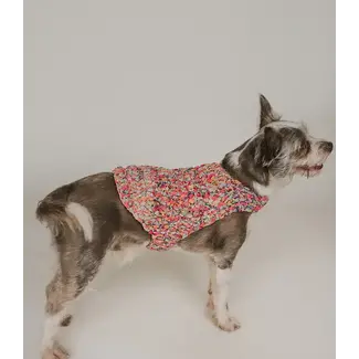 India Ishivatva Upcycled Sari Pet Sweater