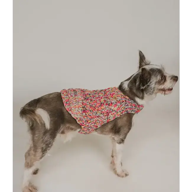 Ishivatva Upcycled Sari Pet Sweater