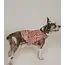 Ishivatva Upcycled Sari Pet Sweater