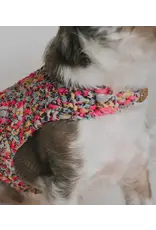 India Ishivatva Upcycled Sari Dog Sweater
