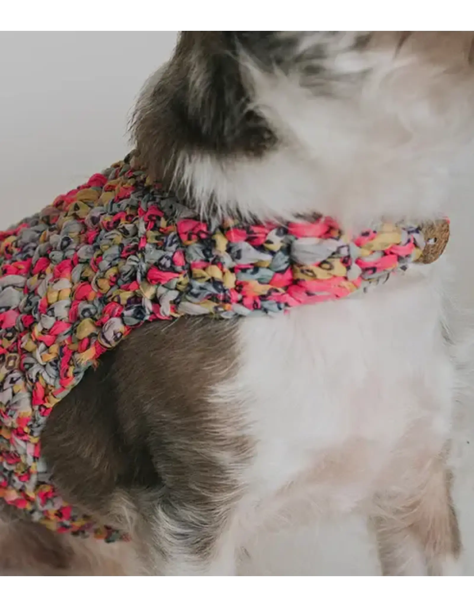 India Ishivatva Upcycled Sari Dog Sweater
