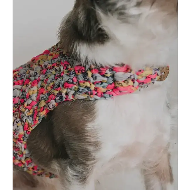 Ishivatva Upcycled Sari Pet Sweater