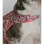 Ishivatva Upcycled Sari Pet Sweater
