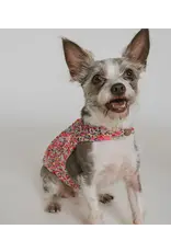 India Ishivatva Upcycled Sari Dog Sweater