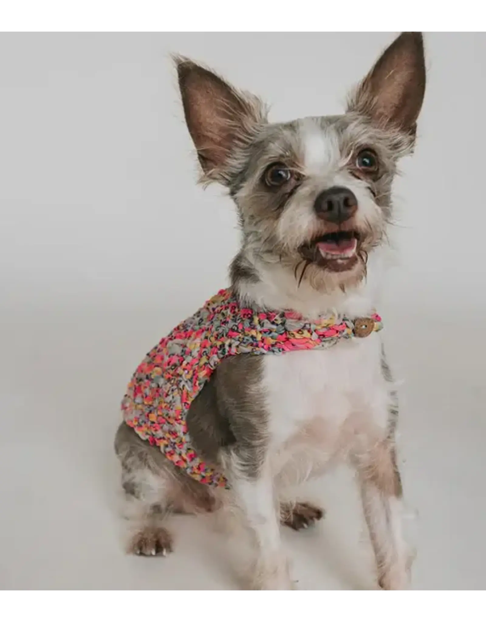 India Ishivatva Upcycled Sari Dog Sweater