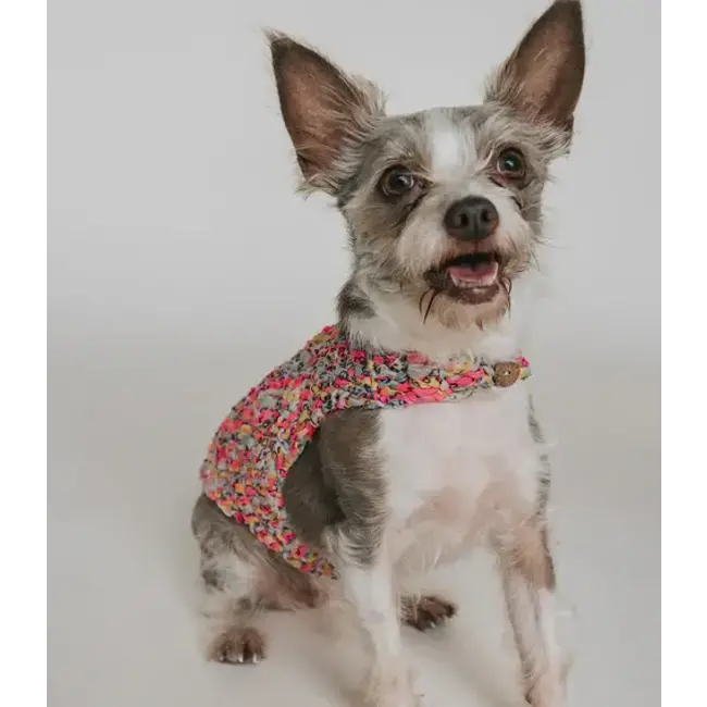 Ishivatva Upcycled Sari Pet Sweater