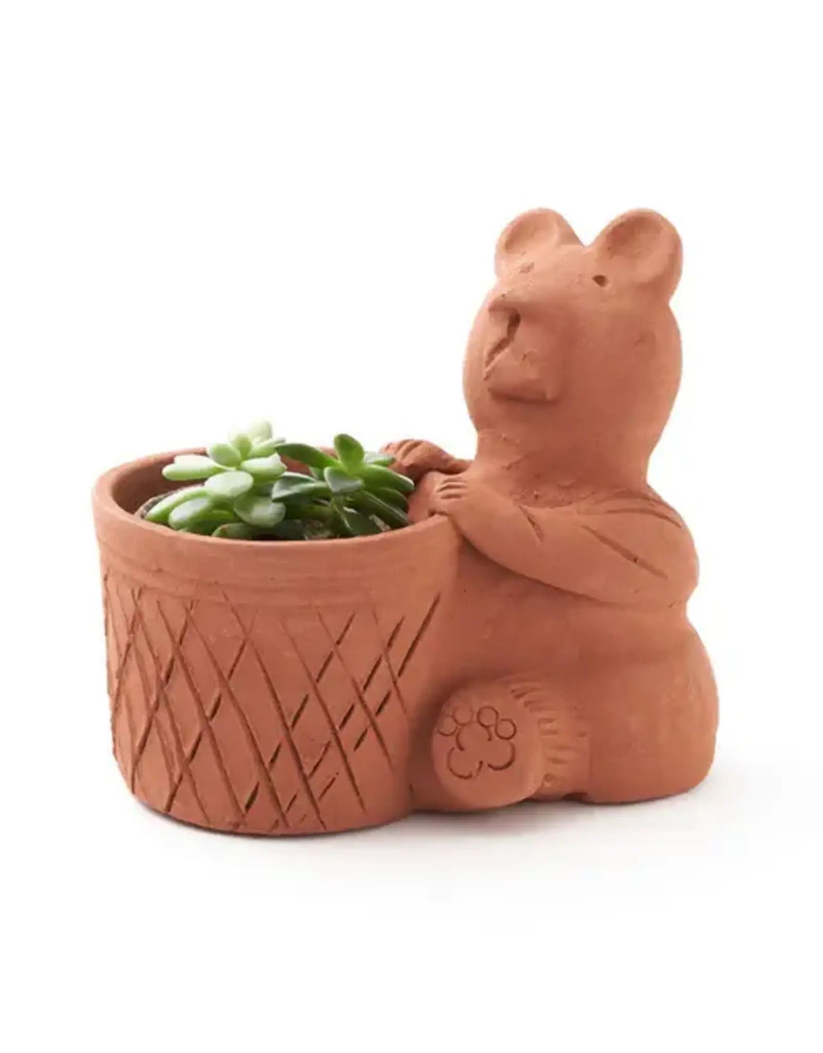 India Rakshana Terracotta Bear Plant Pot