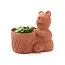 CLEARANCE Rakshana Terracotta Bear Plant Pot