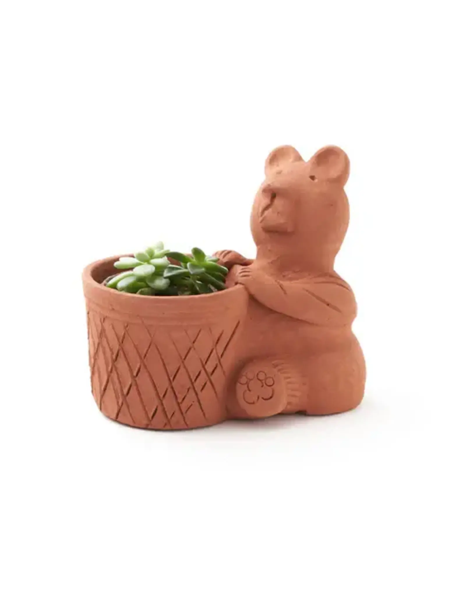 India Rakshana Terracotta Bear Plant Pot
