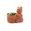 CLEARANCE Rakshana Terracotta Bear Plant Pot