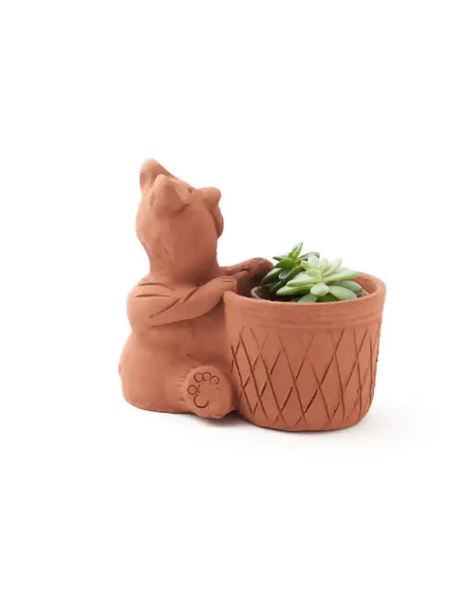 India Rakshana Terracotta Bear Plant Pot