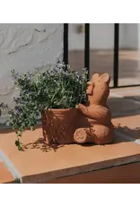 India Rakshana Terracotta Bear Plant Pot
