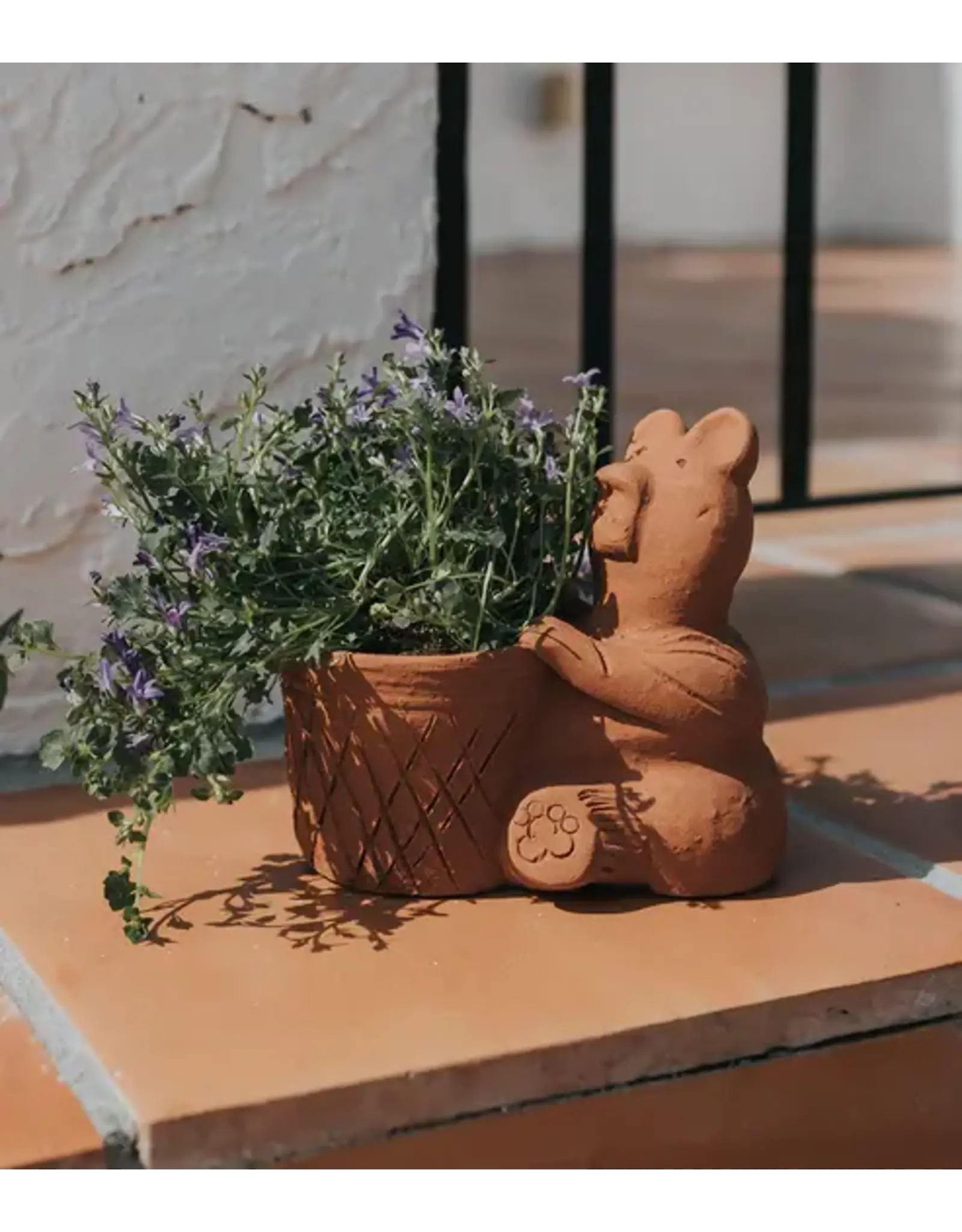 India Rakshana Terracotta Bear Plant Pot