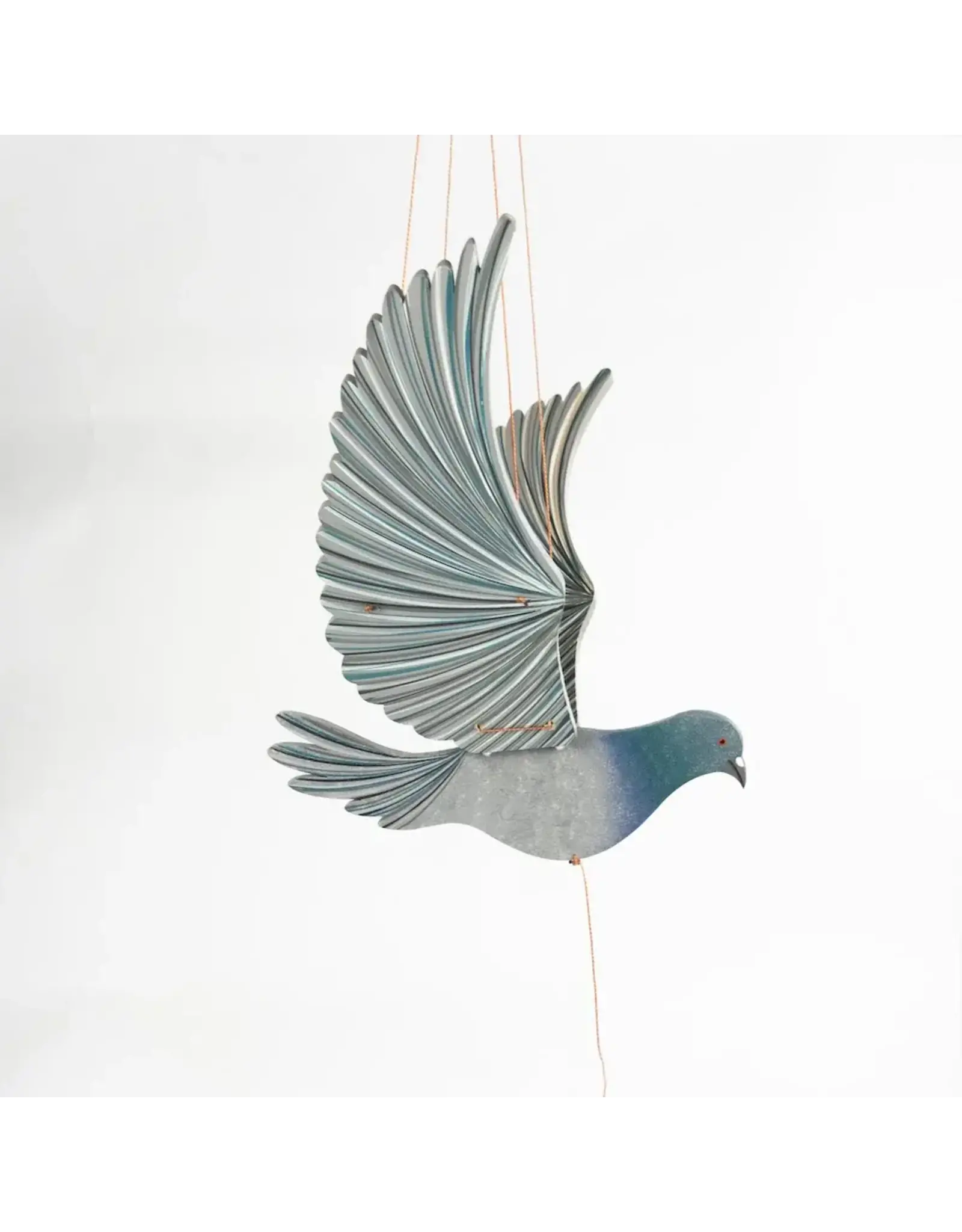 Colombia Pigeon Flying Mobile