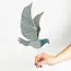 Flying Mobile - Pigeon