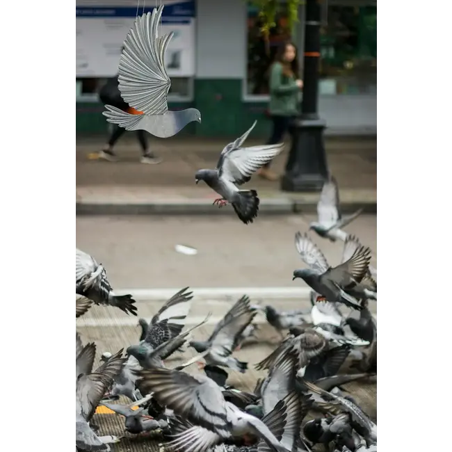 Flying Mobile - Pigeon