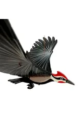Colombia Pileated Woodpecker Flying Mobile