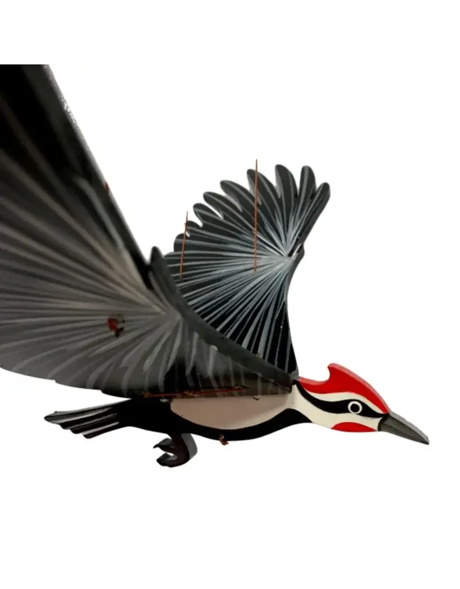 Colombia Pileated Woodpecker Flying Mobile