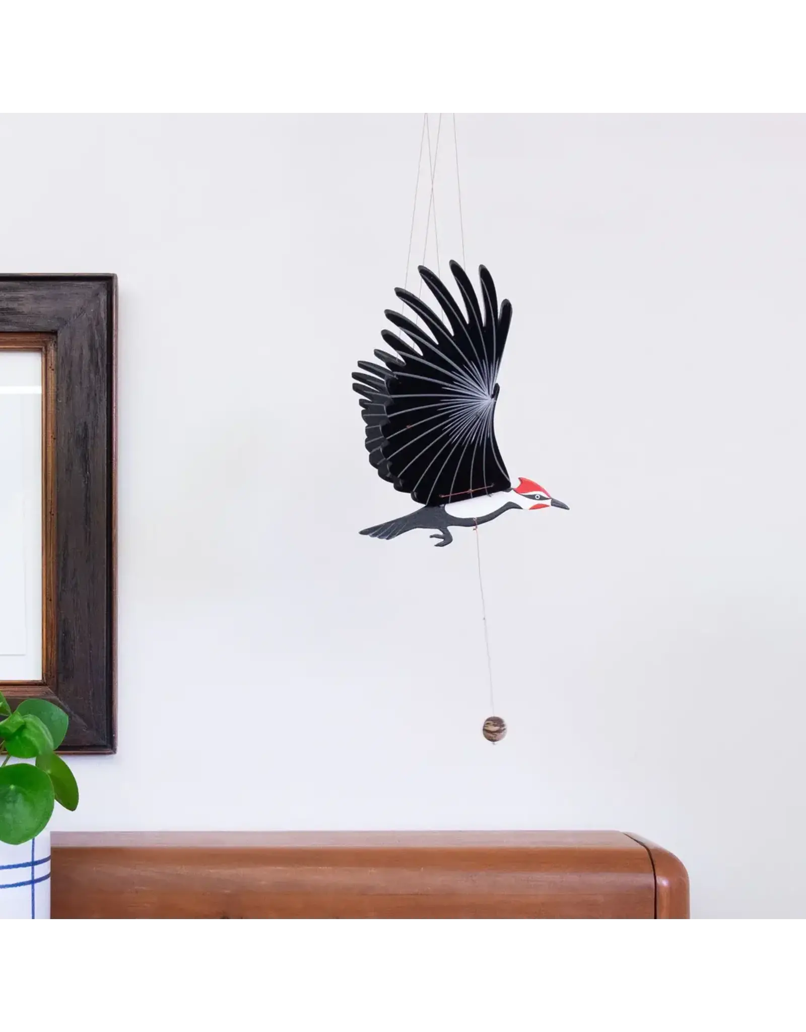 Colombia Pileated Woodpecker Flying Mobile