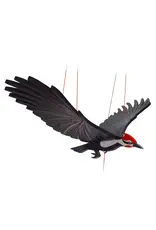 Colombia Pileated Woodpecker Flying Mobile
