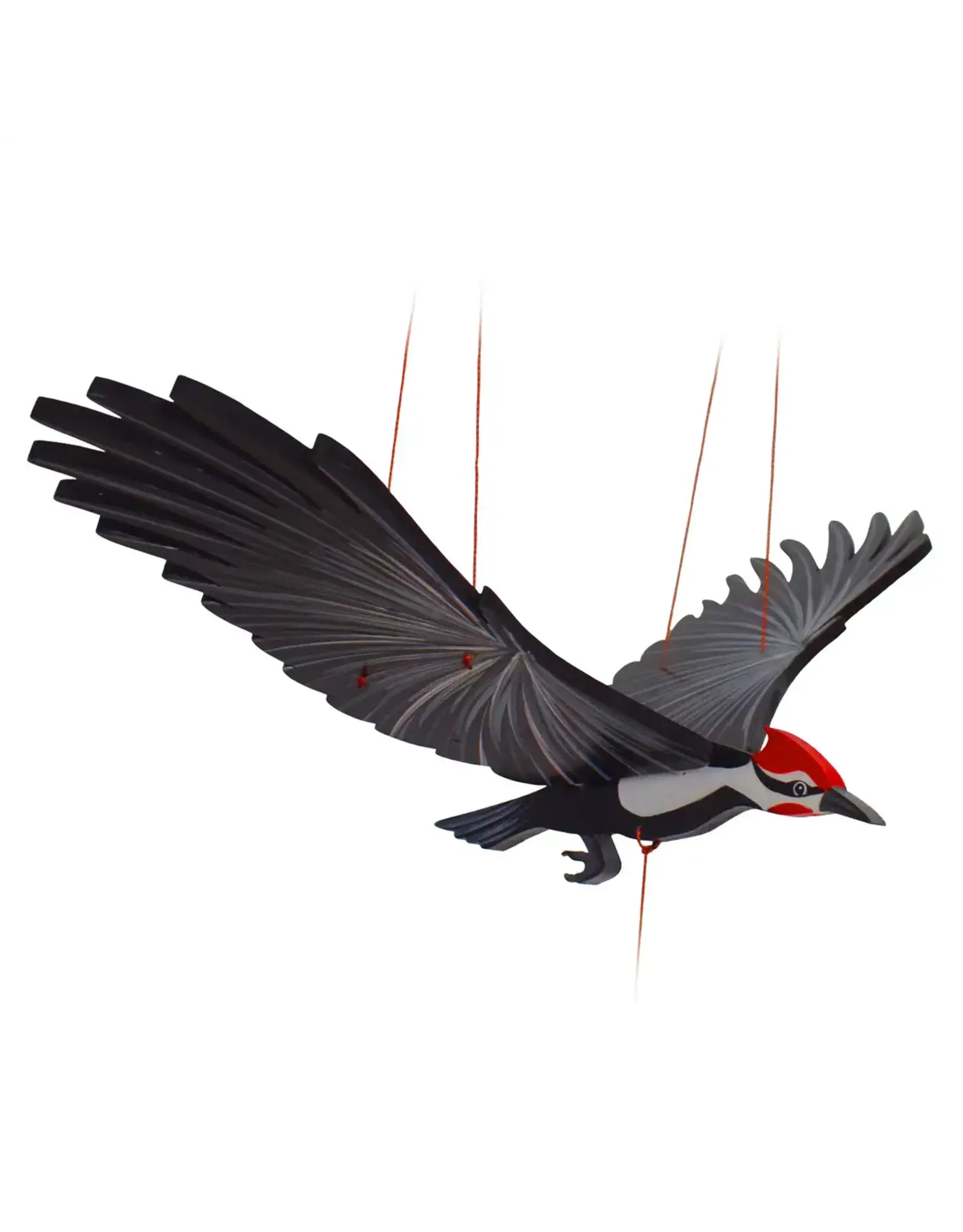 Colombia Pileated Woodpecker Flying Mobile