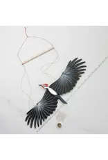 Colombia Pileated Woodpecker Flying Mobile