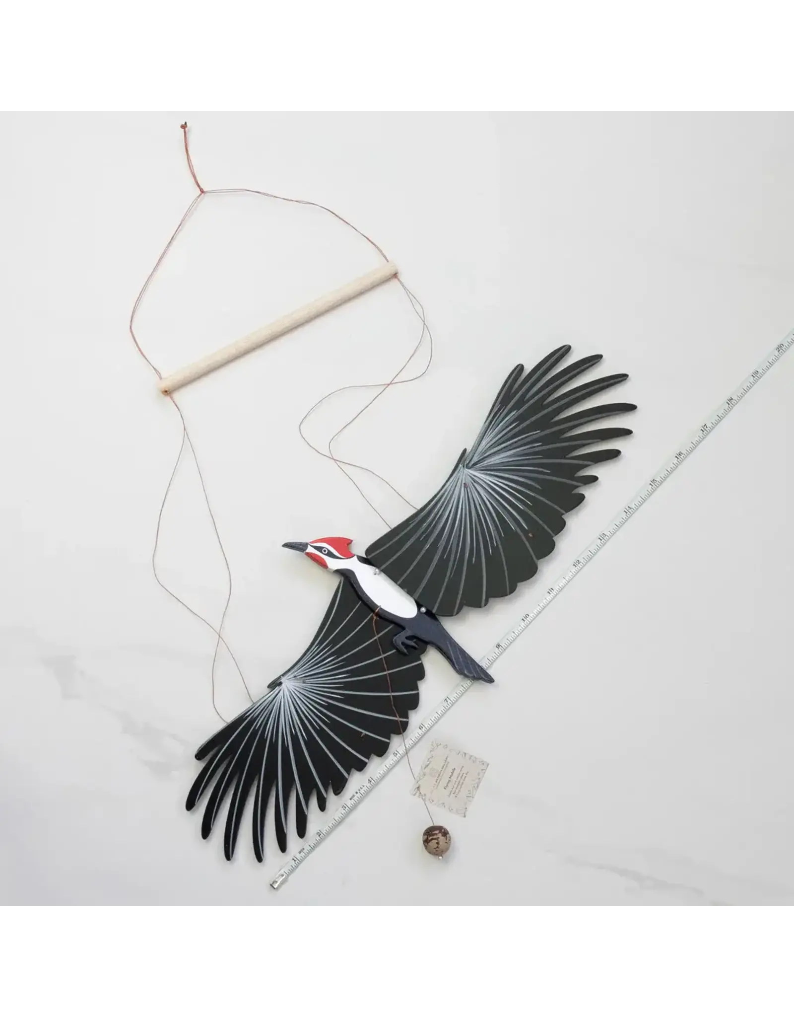 Colombia Pileated Woodpecker Flying Mobile