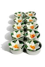 Thailand Waterlily Scented Tea Lights, Pack of 10