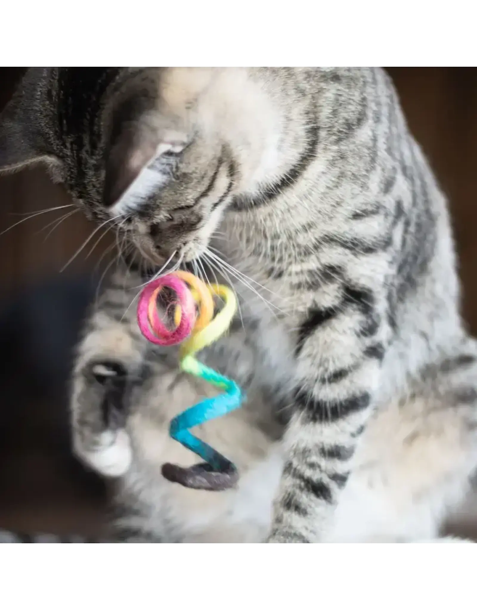 Nepal Wool Spring Eco Pet Toy