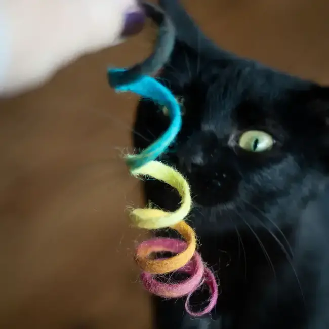 Cat Toy - Wool Spring