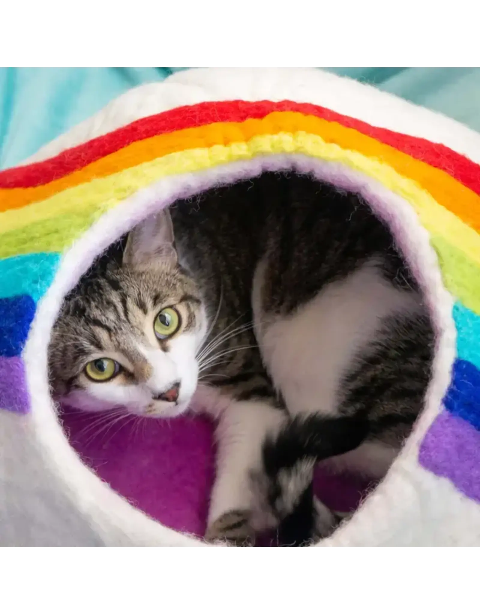 Nepal Rainbow Eco Kitty Cave