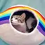 Felt Cat Cave - Rainbow Stripe