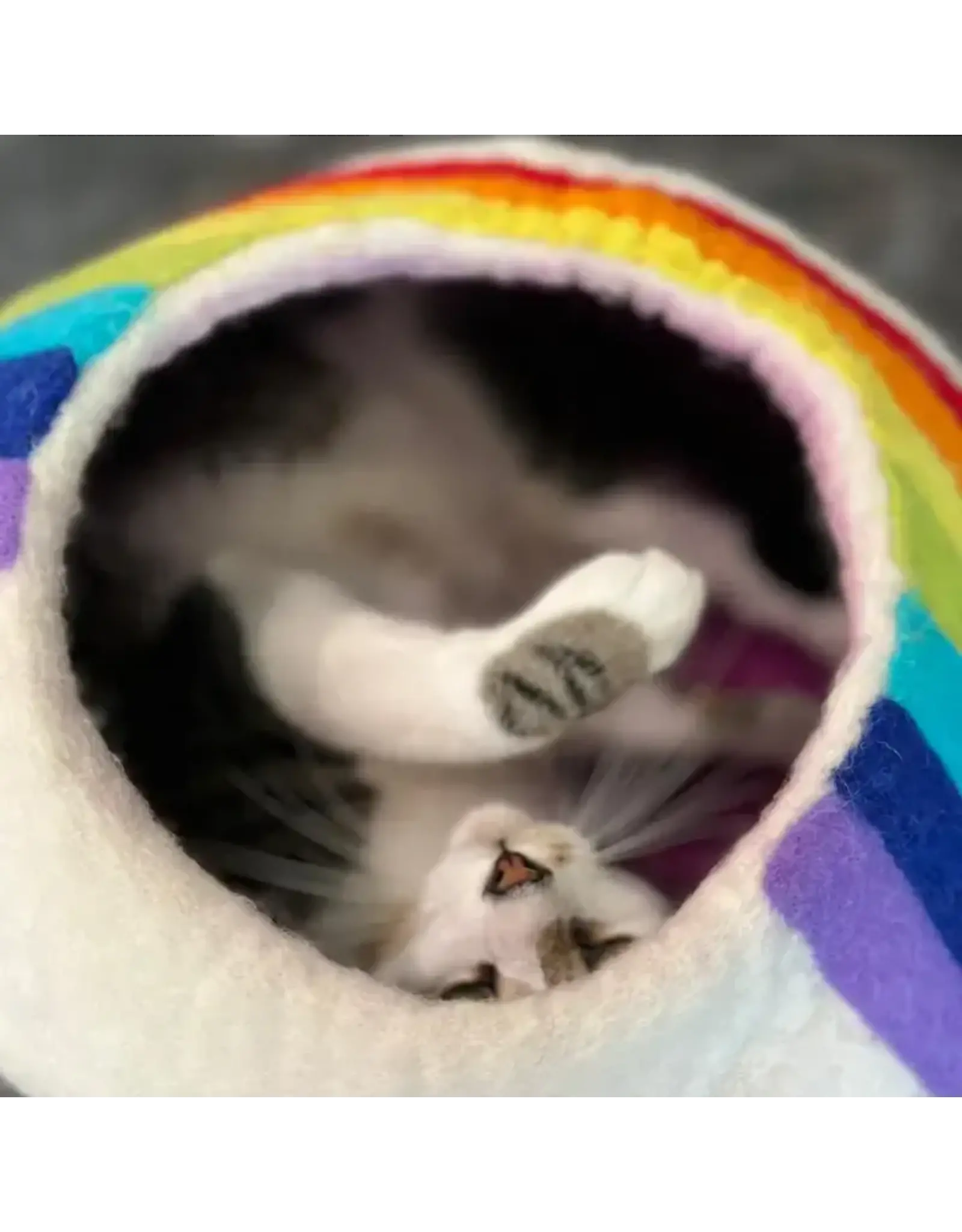 Nepal Rainbow Eco Kitty Cave