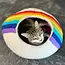 Felt Cat Cave - Rainbow Stripe