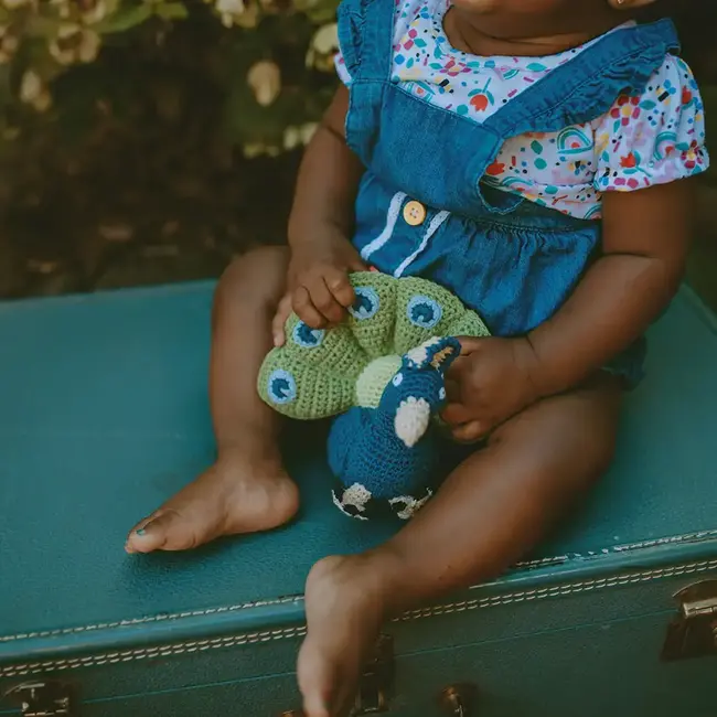 Crochet Rattle - Peacock