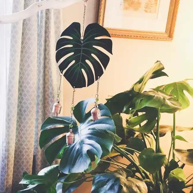 CLEARANCE Monstera Chime