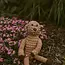 Bangladesh Goldendoodle Rattle