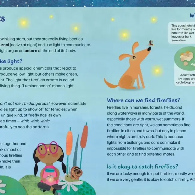 Firefly Galaxy - Hardcover